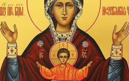 Akathist ke cti ikony Matky Boží zvané „Kalich nevyčerpatelný”